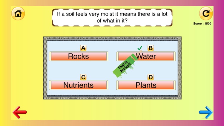 3rd Grade Science Quiz # 2 for home school and classroom