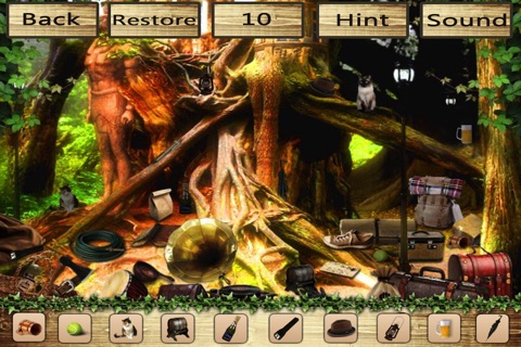 Hidden Objects???? screenshot 4