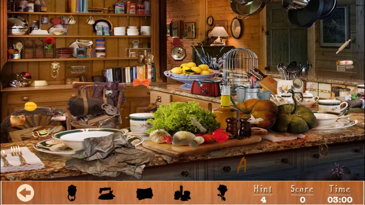 MasterChef  Hidden Objects