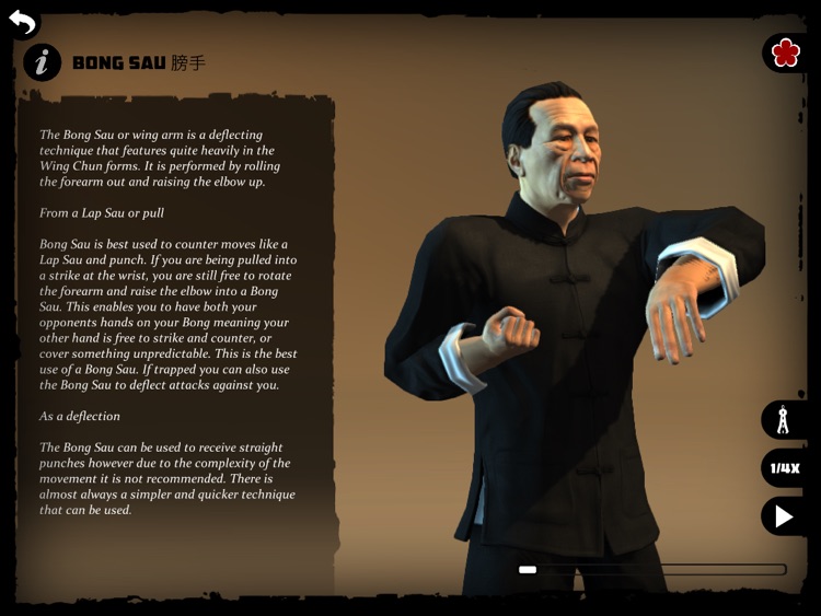 Ip Man Wing Chun Kung Fu : Siu Lim Tao HD