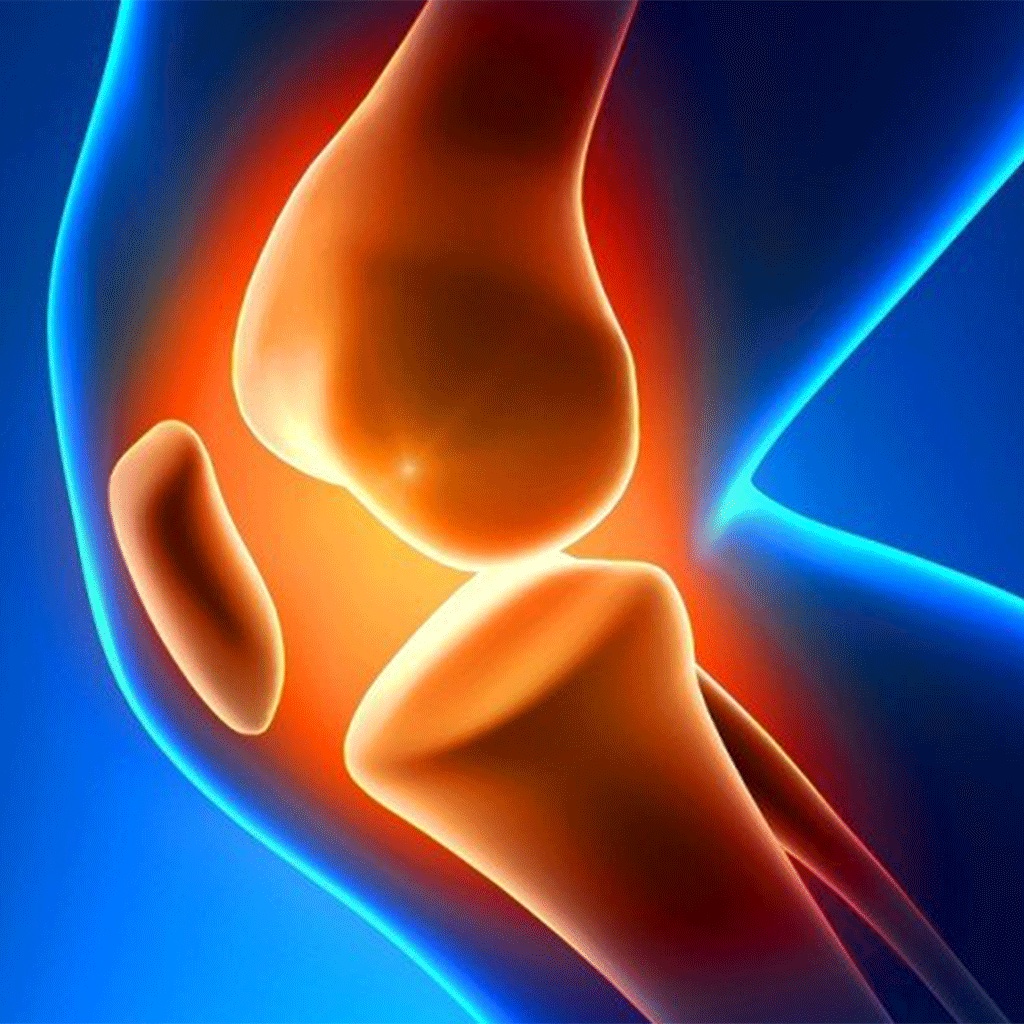 Workout Knee - 7 Leg Exercises To Combat Knee Pain icon