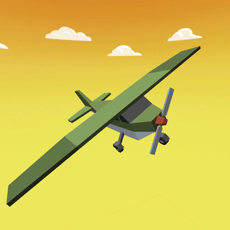 Activities of Mini Plane Flying