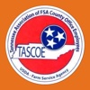 TASCOE