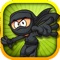 Bridge Ninja Dash – Free Multiplayer Nin 3D Amazing Run Game for Kids