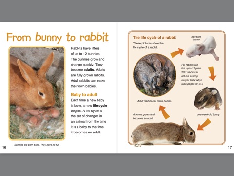 Baby Bunnies by Bobbie Kalman on Apple Books