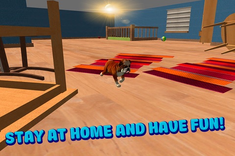 Dog Simulator 3D: House Crash Full screenshot 4