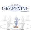 Grapevine by Pragmatic