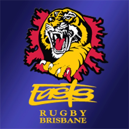 Easts Tigers Rugby