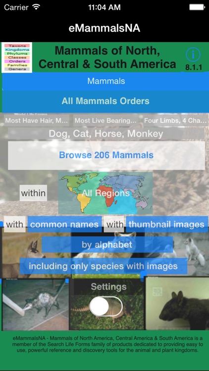 Mammals of North, Central & South America - A Mammal App