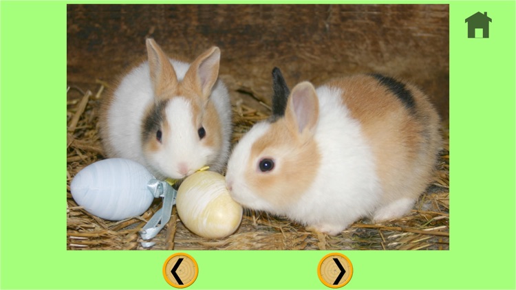 rabbits of my kids - free screenshot-3