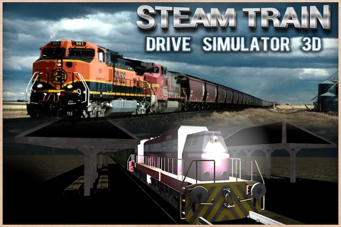 Steam Train Driving Simulator 3D screenshot 3
