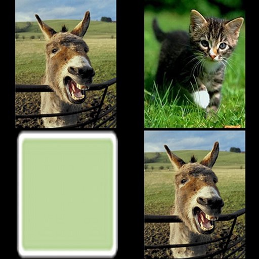 Animal Discovery Game