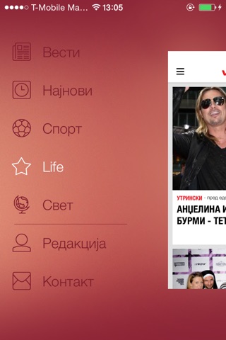 VestiMk screenshot 2