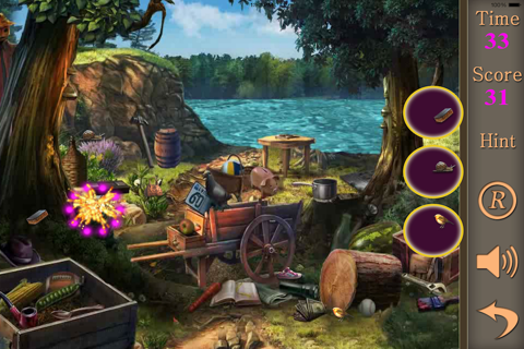 Hidden Objects Of A Five Camping Tips screenshot 3