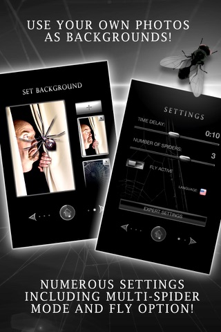 Spider Prank Lite screenshot 4