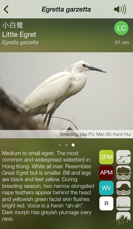 HKcBirds: Common Birds of Hong Kong screenshot-3