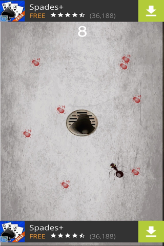 Ant | نمل screenshot 2