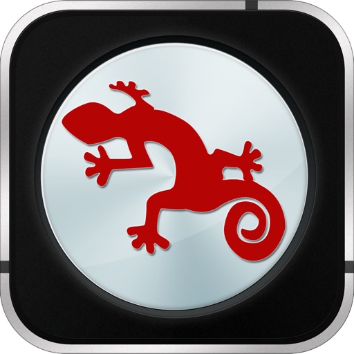 Chameleon Camera - Filters, Spy, Silence Camera icon
