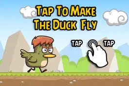 Game screenshot Run Duck Run apk