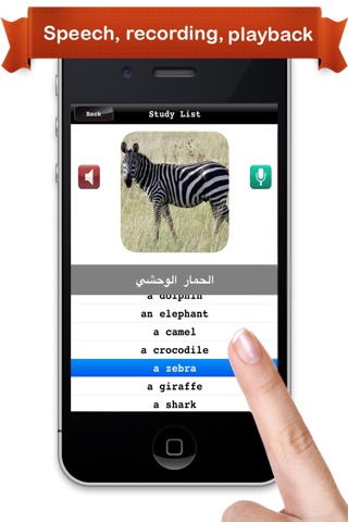 Learn Arabic™ screenshot 3