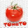 TOmaTO Free