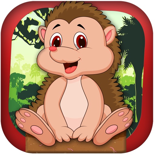 Jumping Hedgehog Adventure Dash Pro iOS App