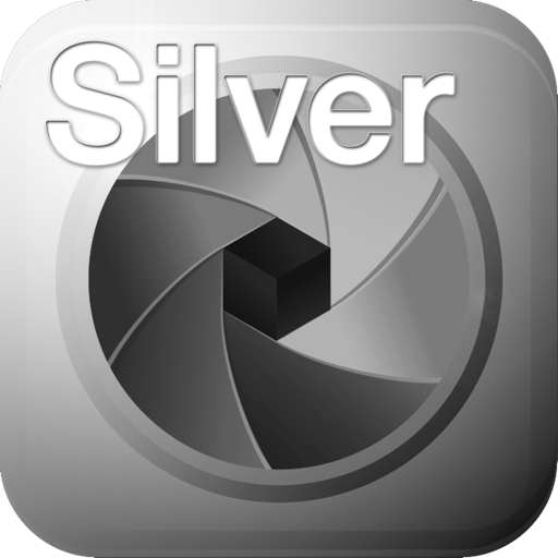 SILVER projects professional