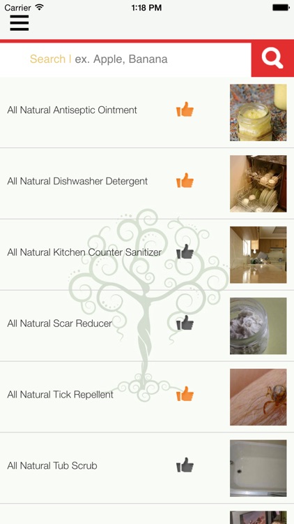 Natural Goddess DIY Homemade Green Beauty, Home, Cleaning, Body, Hair, Skin, Health & Pets Recipes