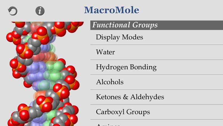 MacroMole