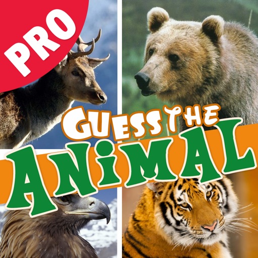 Guess the animal hidden mystery pro