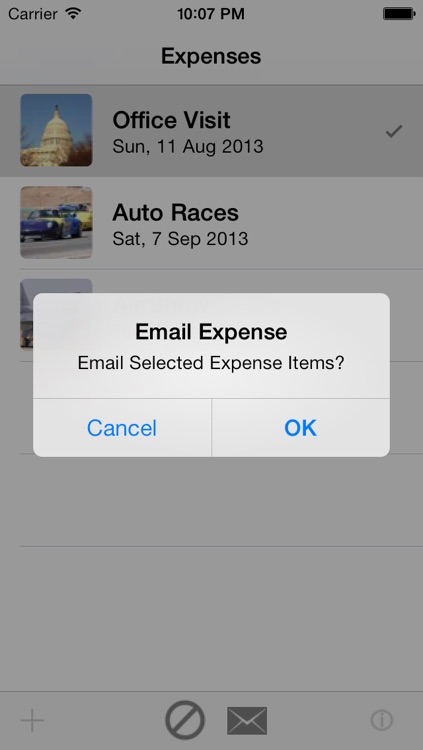 Expense This screenshot-4