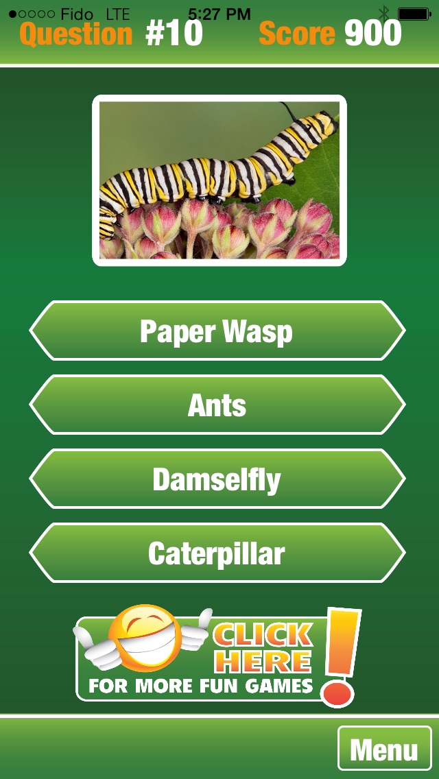 Name The Critter - Guess The Bug or Reptile 1.1 IOS -