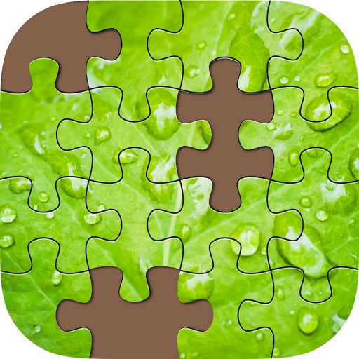 Activity Puzzle Nature Plus Landscapes -daily educational  jigsaw puzzles iOS App