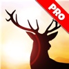 Deer Runner: Escape the Hunter Game - Pro Edition