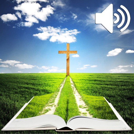 Audio Libro - La Santa Biblia icon