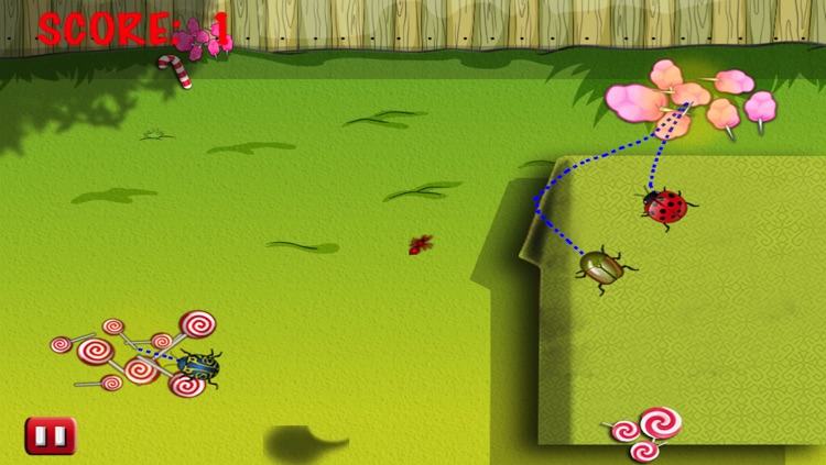 Bug Candies Quest Village screenshot-4