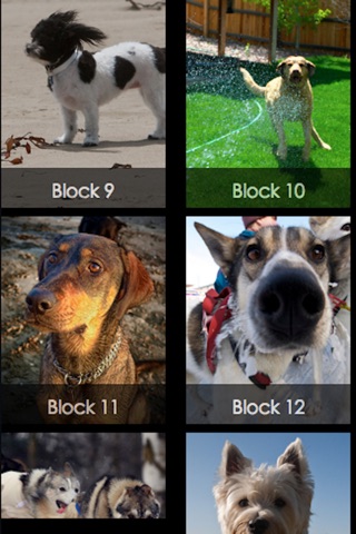 Dogs Puzzle HD.. screenshot 3