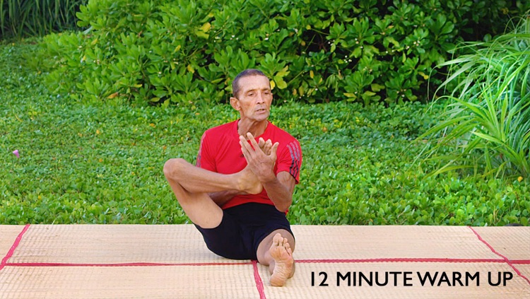 Yoga Virtuoso Free with Lyndon: Move, Stretch, Dance screenshot-3