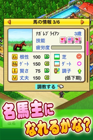 Pocket Stables Lite screenshot 2