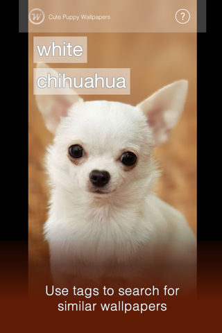 Wallfive HD Wallpapers - Cute Puppies screenshot 2