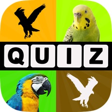 Activities of Allo! Guess the Bird Type Trivia - Bird Watching Photo Quiz