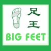 Big Feet Wellness App