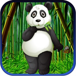 Fat Hungry Panda Bounce Master