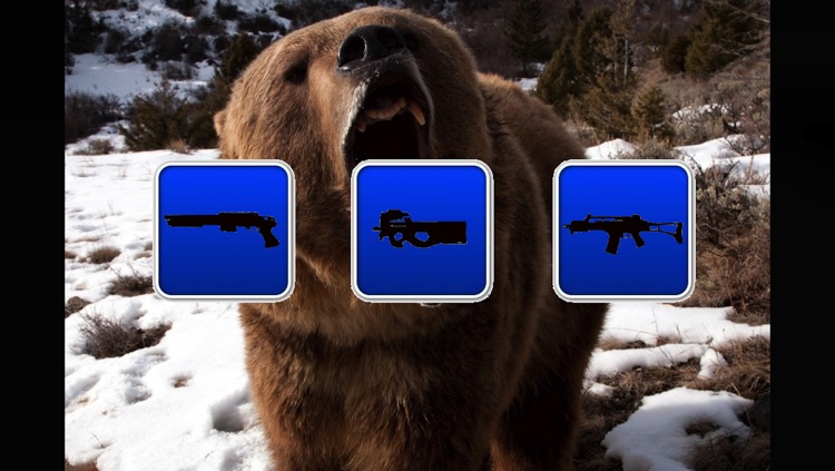 Bear Hunting