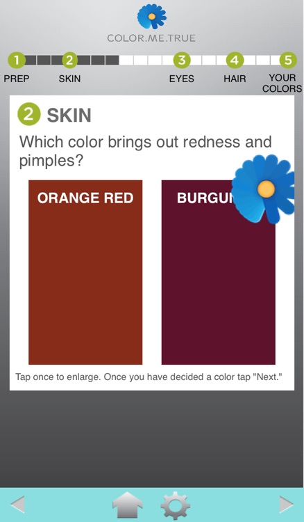 Color Me True