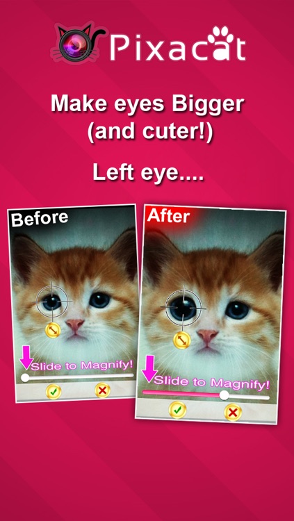 Pixacat: Free Photo Editor for Cat Lovers – Edit cat pictures, share them on Facebook and Instagram