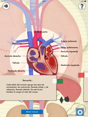 Heart and Lungs Lab screenshot 2