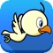 Crazy Flappy Bird - Little birdie flying adventure