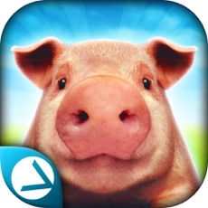 Activities of Pig Simulator 2015