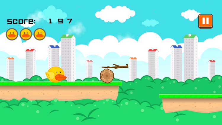 Pixel Bird Racer